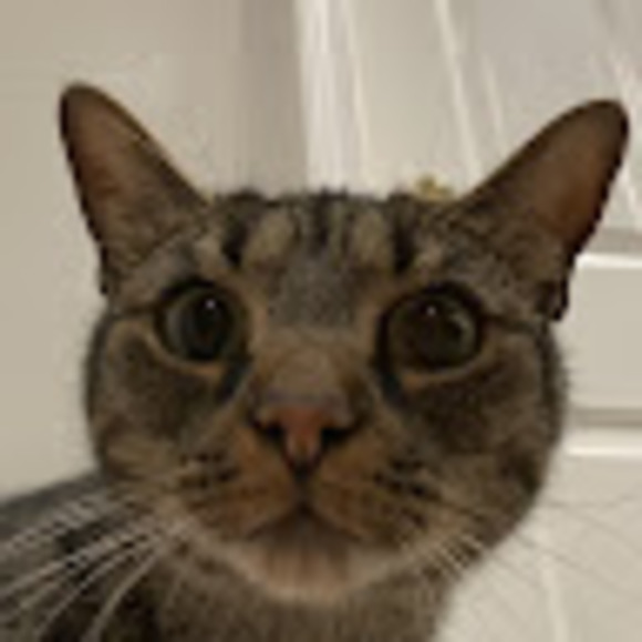 Meet your Posher, Caleb - Picture 1 of 1